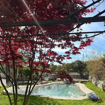 Domus Parva - Villa Con Bio-Piscina, Spa Privata E Appartamenti Panoramici 바콜리 외부 사진