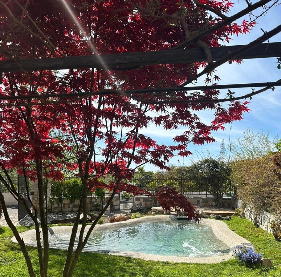 Domus Parva - Villa Con Bio-Piscina, Spa Privata E Appartamenti Panoramici 바콜리 외부 사진